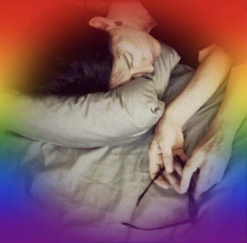 Pola