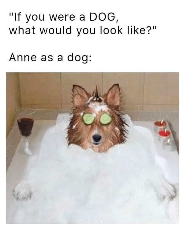 Andie269